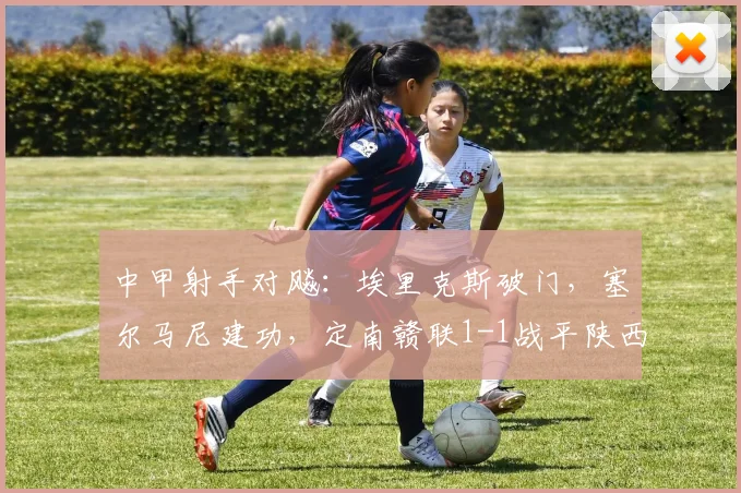 中甲射手对飚：埃里克斯破门，塞尔马尼建功，定南赣联1-1战平陕西联合全解析